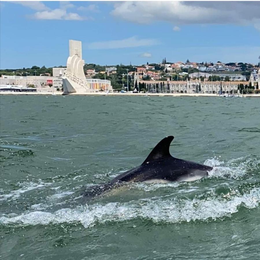 Besthomestay- Caparica Beach Lisbon ألمادا المظهر الخارجي الصورة