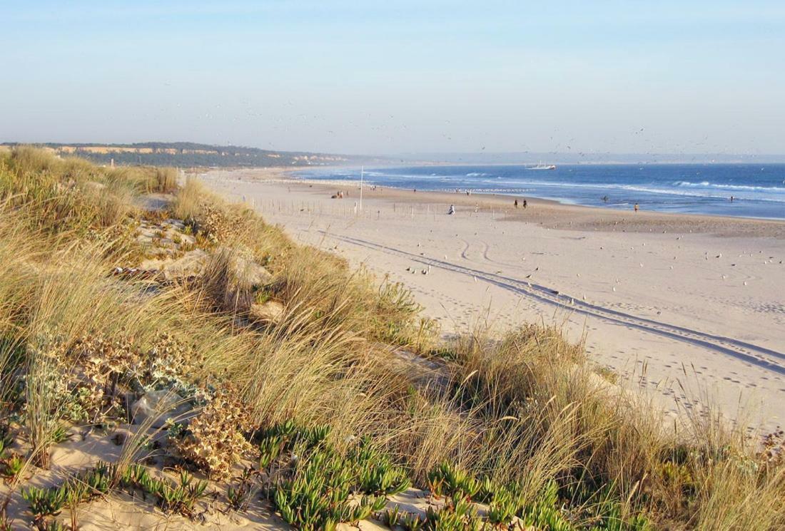 Besthomestay- Caparica Beach Lisbon ألمادا المظهر الخارجي الصورة